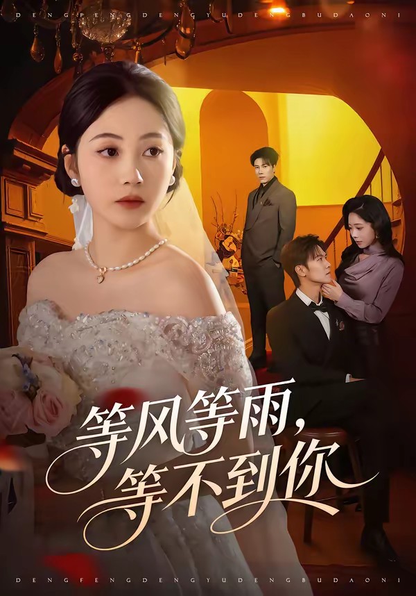 等风等雨，等不到你